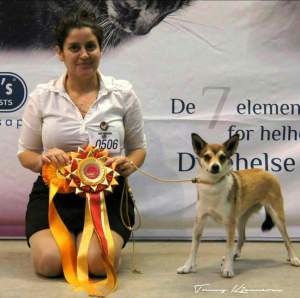 FB_IMG_1459848568227 (1)